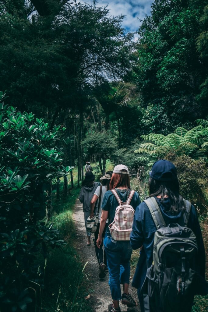 Women hiking along a scenic forest trail, enjoying nature and exploration.